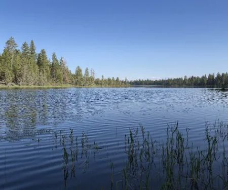 Jane's Reservoir Campground