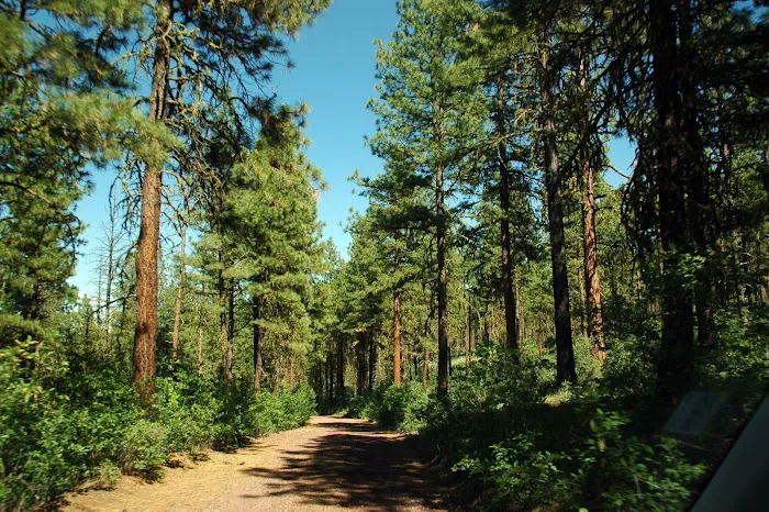 Jane's Reservoir Campground Picture 8