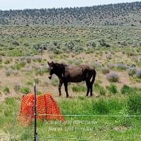 Captains Quarters Private Campground ico