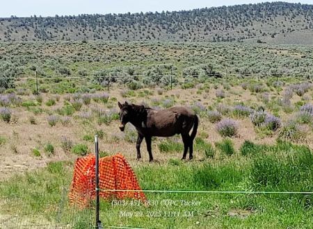 Captains Quarters Private Campground