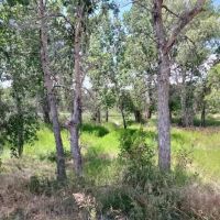 Lowry Bridge Campground ico