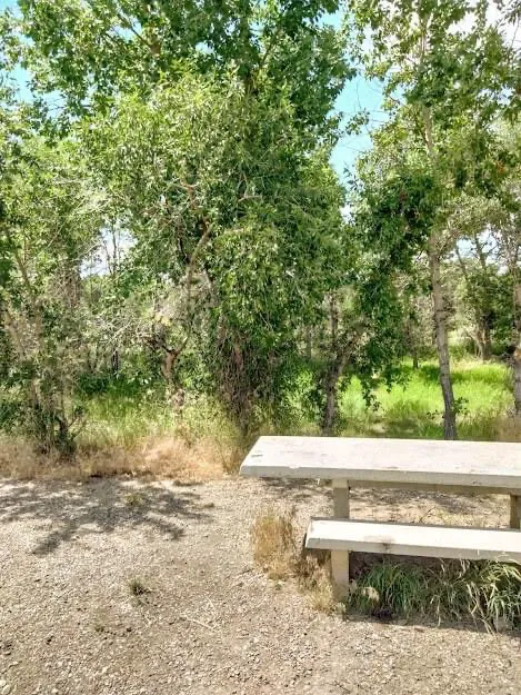 Lowry Bridge Campground Picture 4
