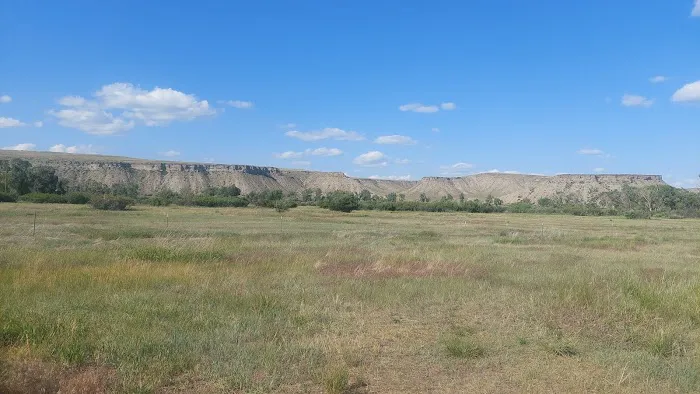 Lowry Bridge Campground Picture 7