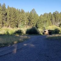 Toll Mountain Campground and Picnic Area ico