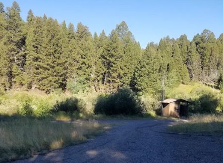 Toll Mountain Campground and Picnic Area