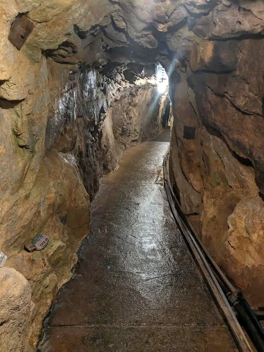 Merry Widow Health Mine Picture 6