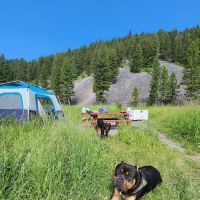 Moose Creek Campground ico