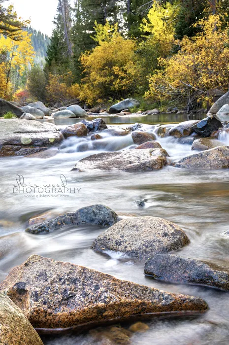 Moose Creek Campground Picture 9
