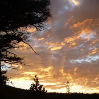 Park Lake Campground ico