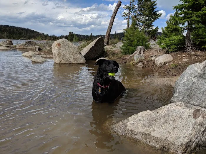 Park Lake Campground Picture 4