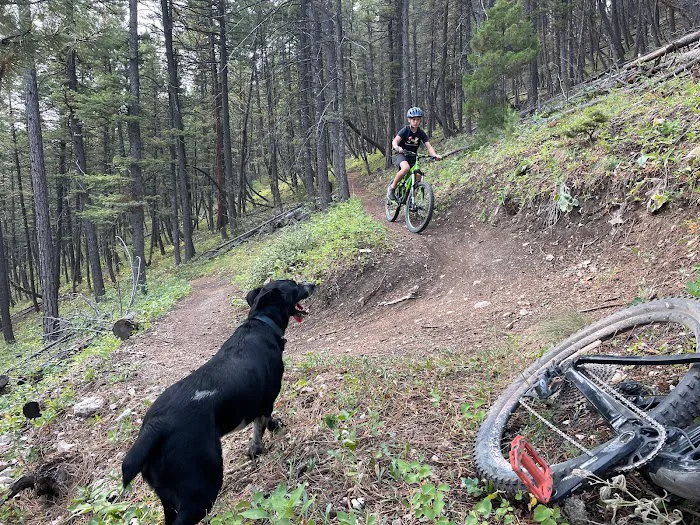 MTBCITY Picture 2