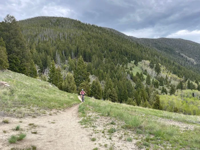 MTBCITY Picture 7