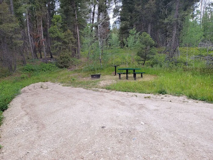 Cougar Point Campground Picture 4