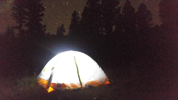 Cougar Point Campground Picture 10