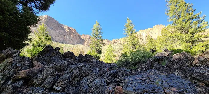 Williams Lake Campground Picture 2