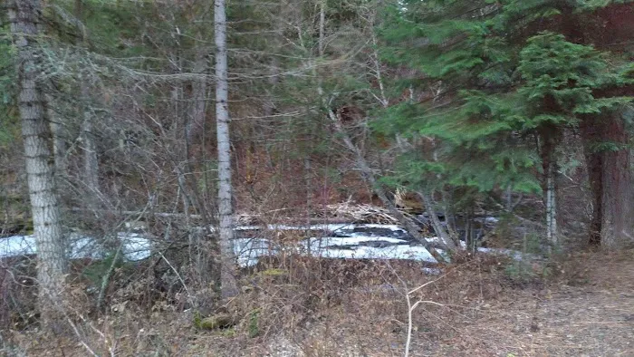 Big Flat Campground Picture 4