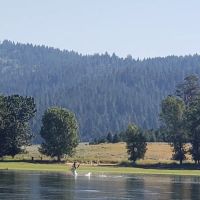 Sugarloaf Campground ico