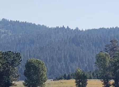 Sugarloaf Campground