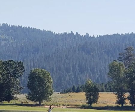 Sugarloaf Campground