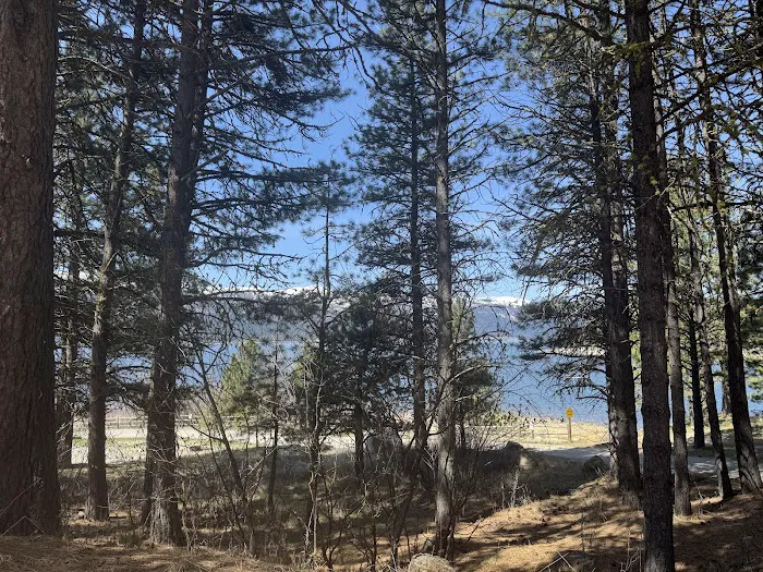 Ridgeview Campground Picture 9
