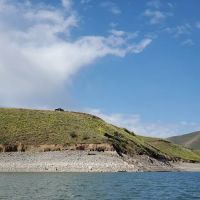 Wolf Creek Campgrounds ico