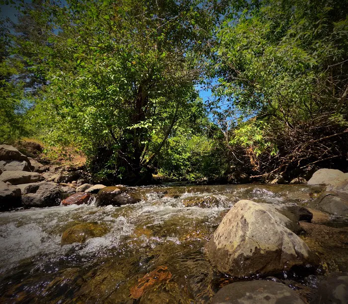 MANN CREEK CAMPGROUND Picture 6