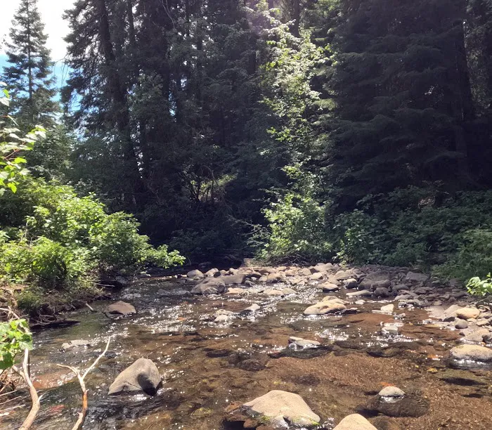 MANN CREEK CAMPGROUND Picture 7
