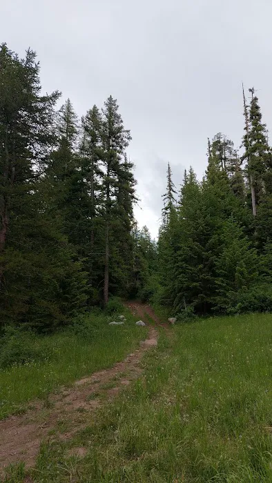Bassar Diggins Picture 2