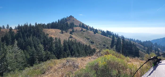 Bassar Diggins Picture 1