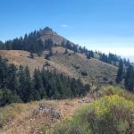 Bassar Diggins