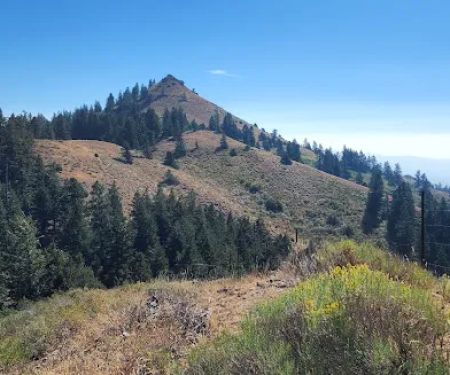 Bassar Diggins