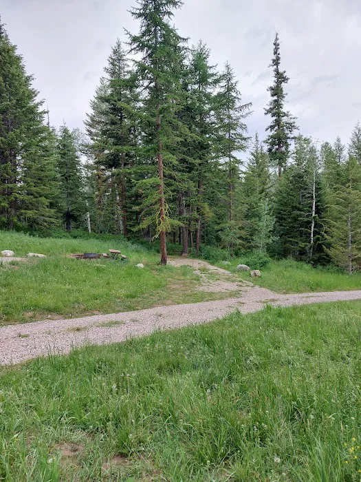 Bassar Diggins Picture 6