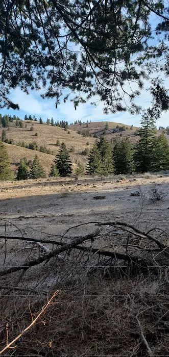 Bassar Diggins Picture 7