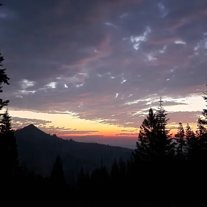 Bassar Diggins Picture 9