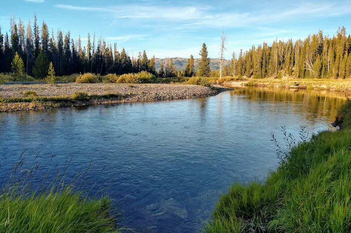 Bear Valley Campground Picture 4