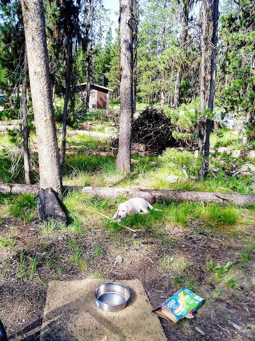 Bear Valley Campground Picture 8