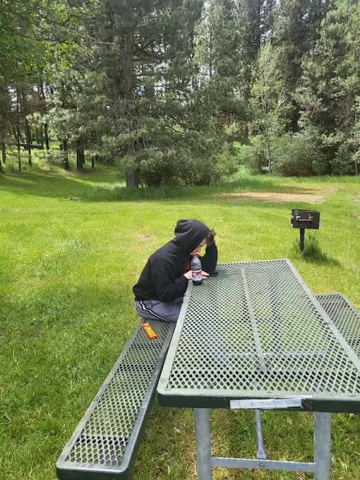 Van Wyck Campground Picture 1