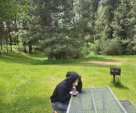 Van Wyck Campground