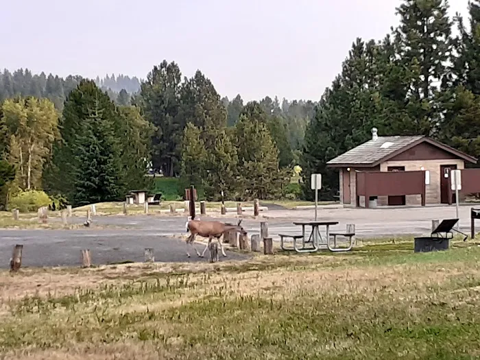 Blue Heron Campground Picture 5