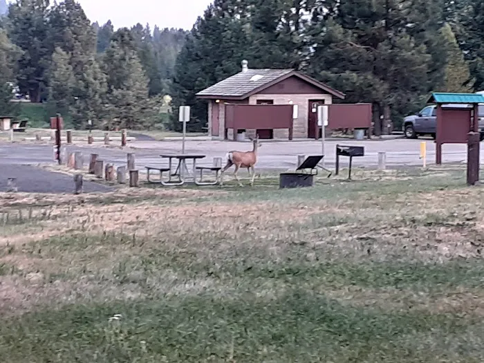 Blue Heron Campground Picture 7
