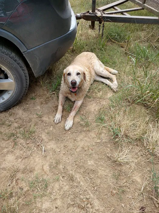 Yellow Dog Boat Launch Picture 6