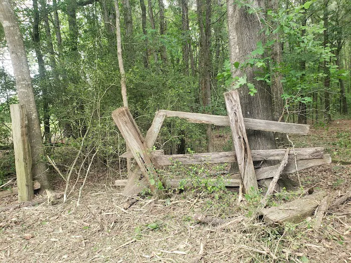 Wagner Springs Picture 4