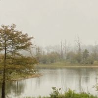 Campsite #35 ico