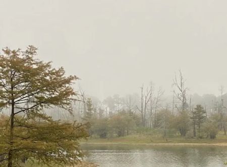Campsite #35