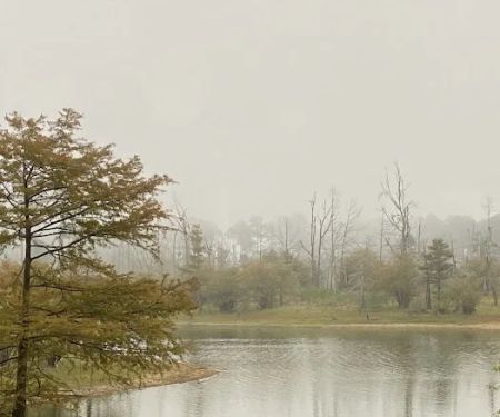 Campsite #35