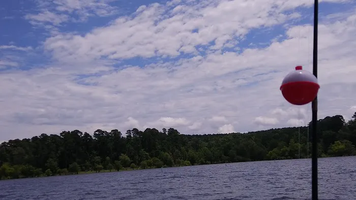 Shirley Creek Campground Picture 1