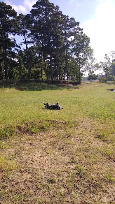 Shirley Creek Campground Picture 4