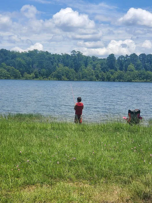 Shirley Creek Campground Picture 9