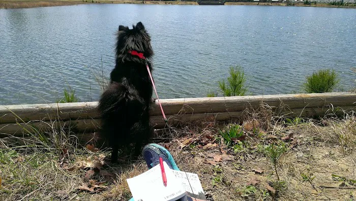 Thomson Lake Recreation Park Picture 1