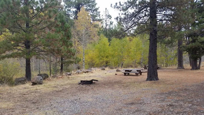 Deep Creek Forest Camp Picture 1